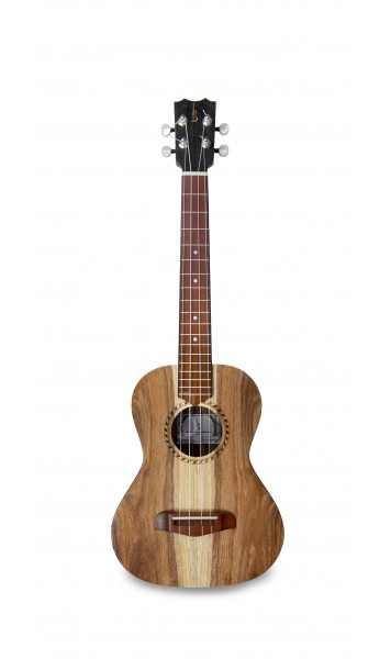 APC TS Tenor Simple
