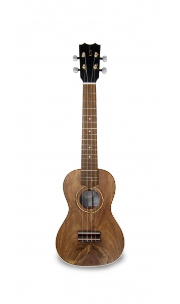 APC LG C MP Luthier Gold