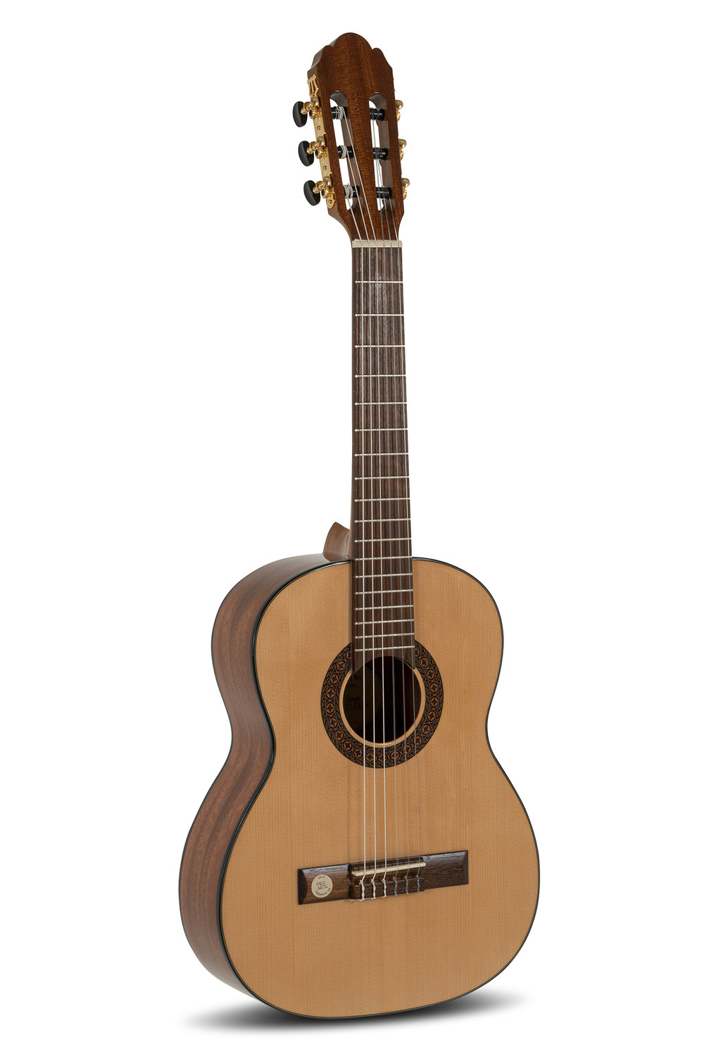 Gewa Pro Arte GC50A