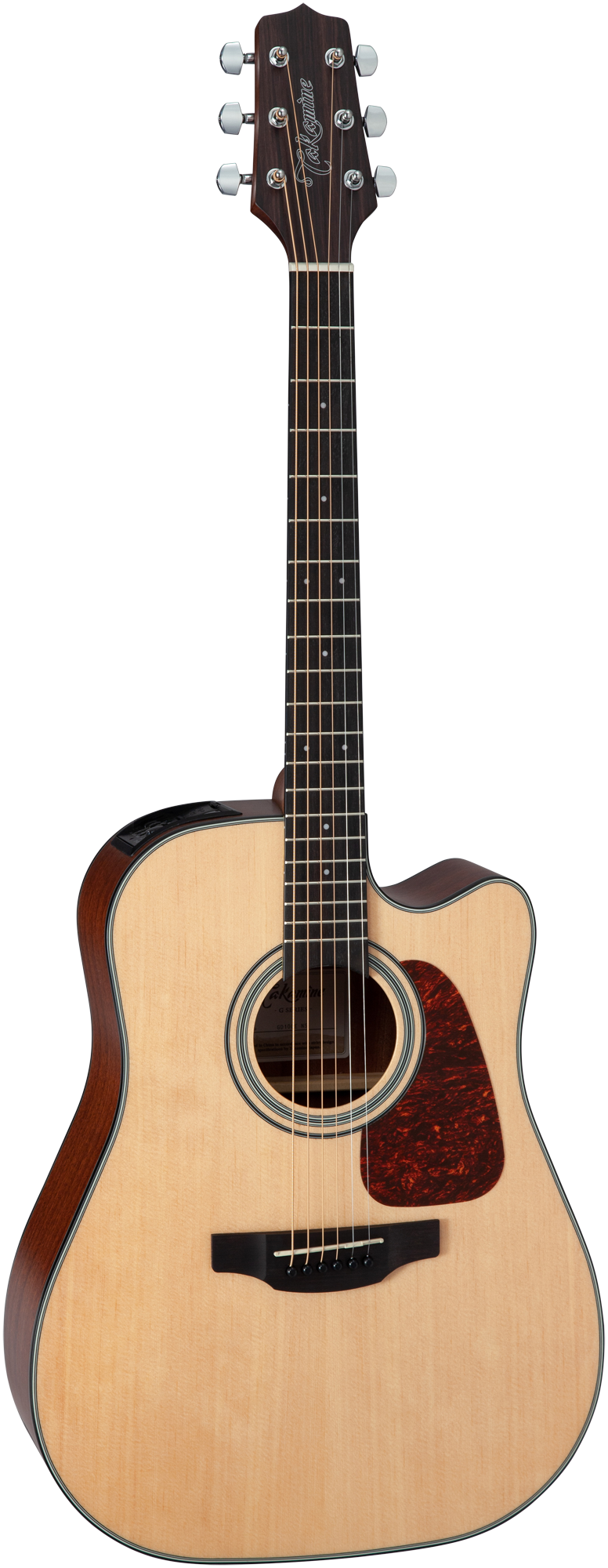 Takamine GD10CE-NS