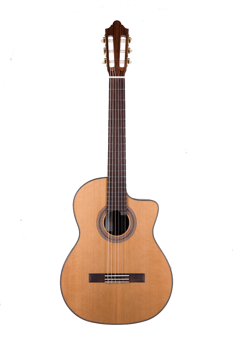 Duke Student C Cut Trio VT