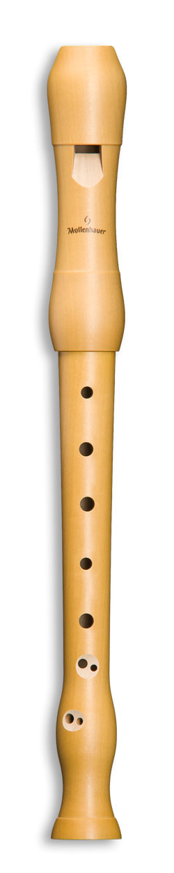 Mollenhauer Student 1042