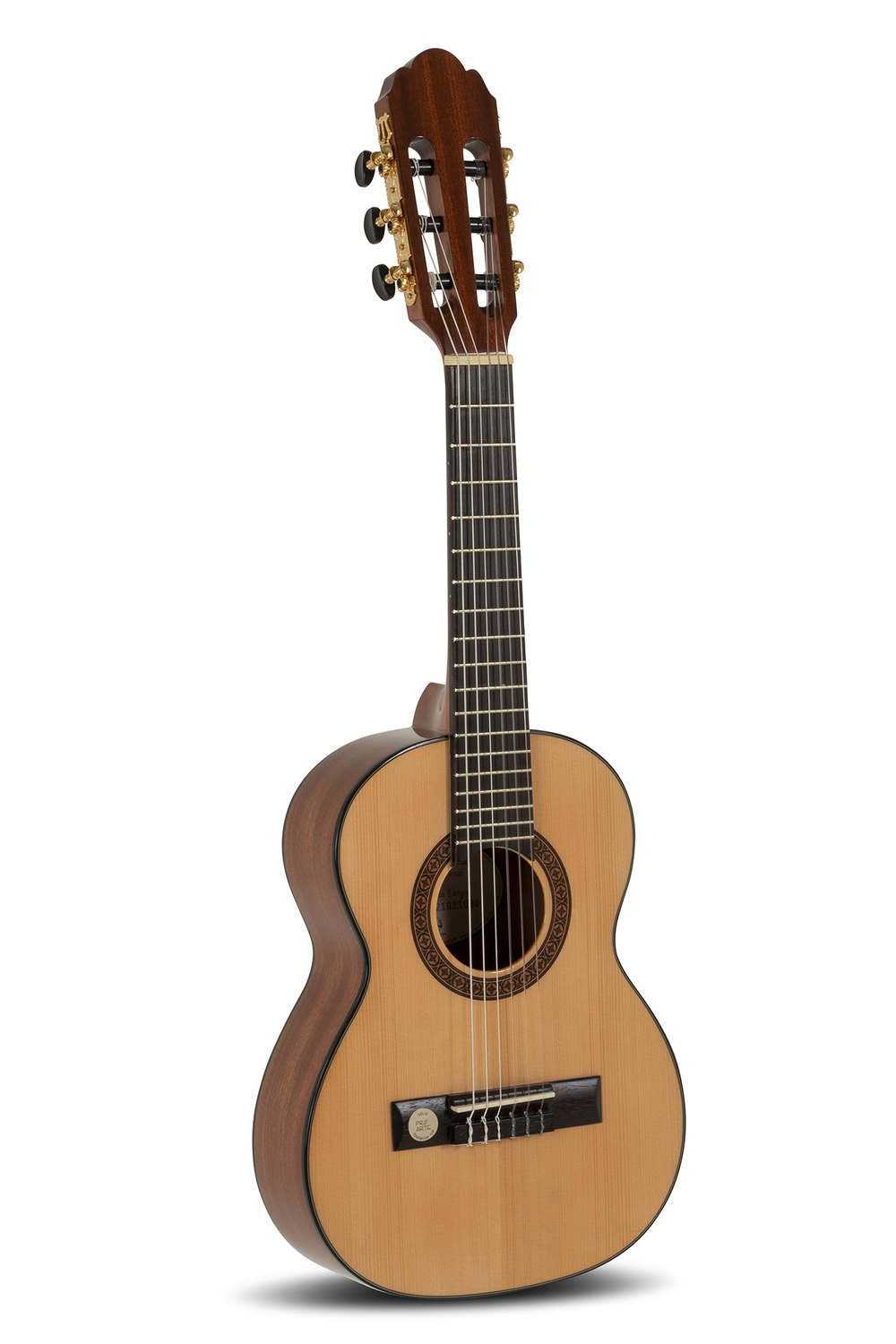 Gewa Pro Arte GC25A