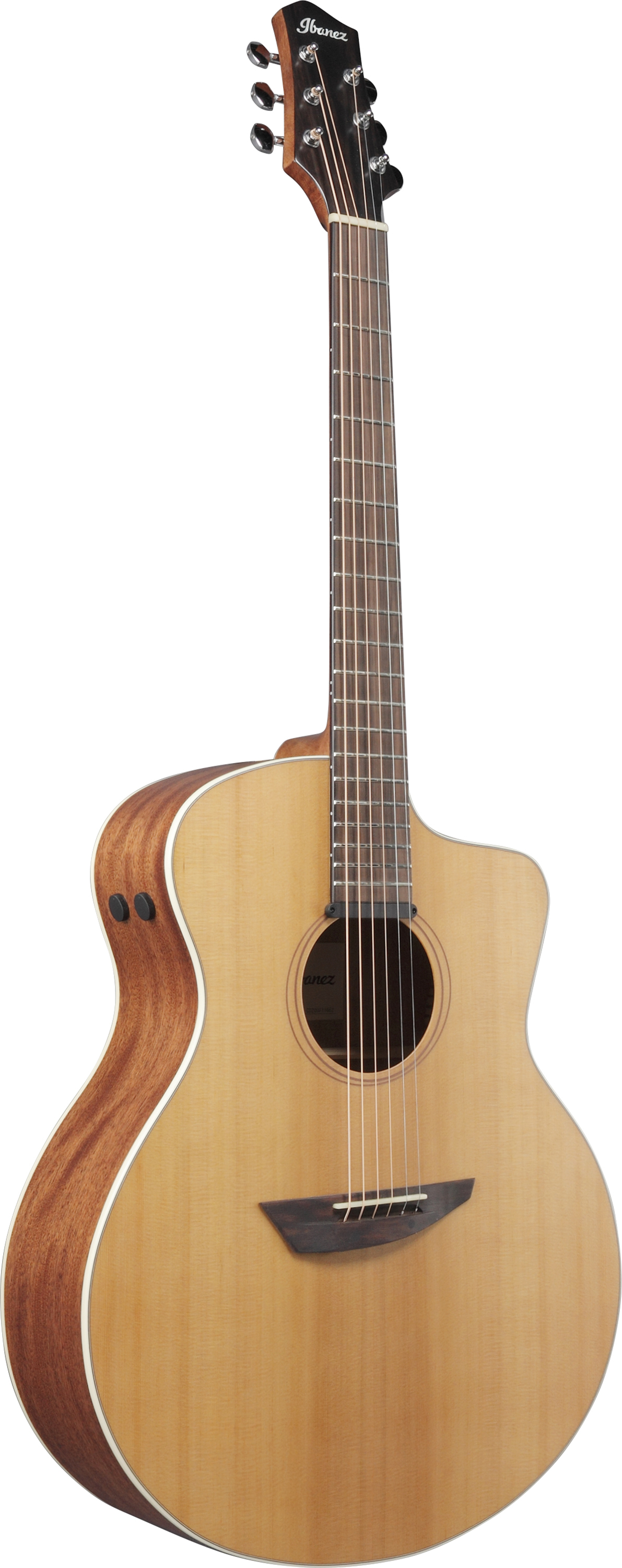 Ibanez PA230E-NSL