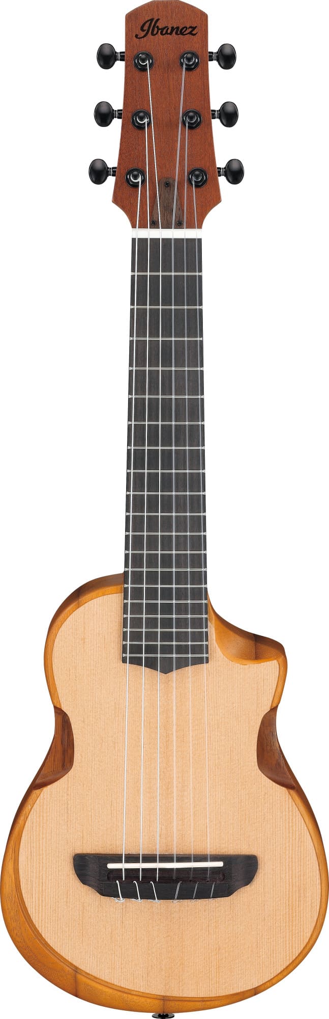 Ibanez AUP10N-OPN